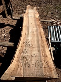 English Walnut